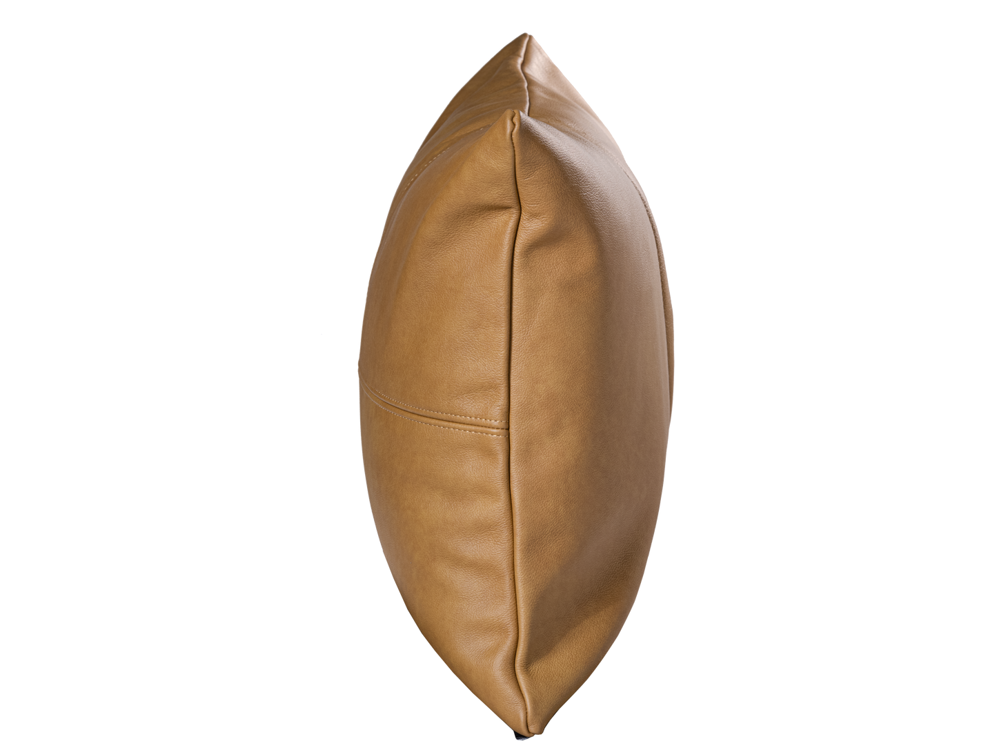 Rectangular leather Cushion